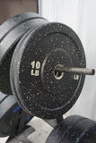 10 lb Bumper Plates (pair)