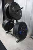 10 lb Bumper Plates (pair)