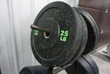 25 lb Bumper Plates (pair)