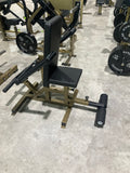 Seated Dip Machine