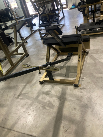 45 Degree Back Extension - Chest supported Row Combo